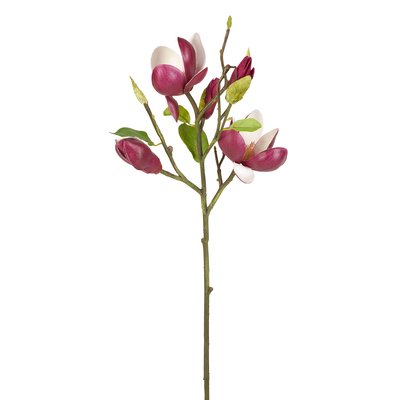 Tige de magnolia en bourgeons artificielle H50 SIA DECO