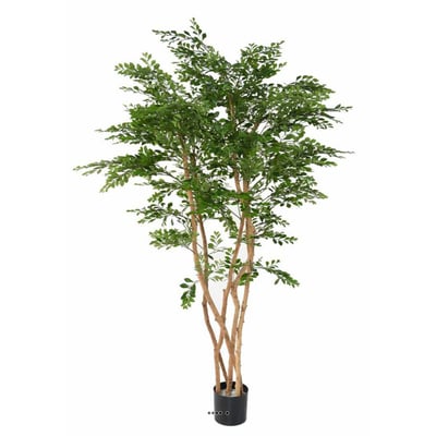 Acacia Artificiel 5 Troncs Naturels H 180 cm ARTIFICIELLES