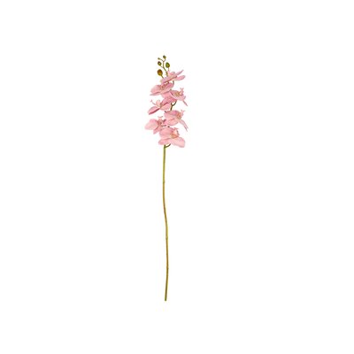 Fleur ORCHID VILLA COLLECTION