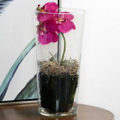 Phalaenopsis rose en vase verre 30 cm PIER IMPORT