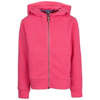 Sweat à capuche WINNIE TRESPASS