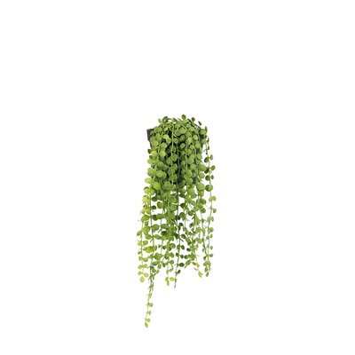 Plante succulente retombante artificielle 40cm LIGNE DECO