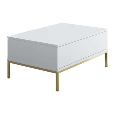 Table basse en agglomeré et métal Lord HANAH HOME