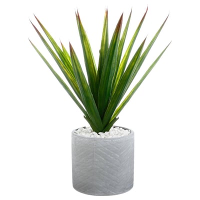 Aloe vera artificiel ATMOSPHERA