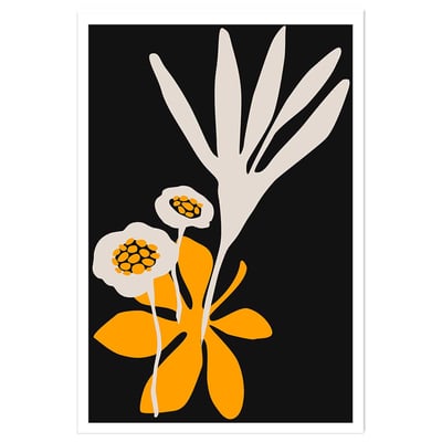 Poster fleurs colchiques HEXOA