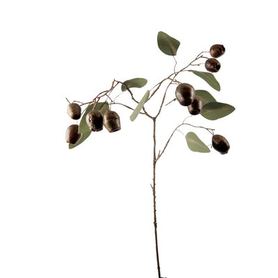 Feuillage eucalyptus artificiel avec graines H71 SIA DECO