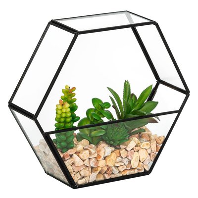 Terrarium artificiel PIA ATMOSPHERA