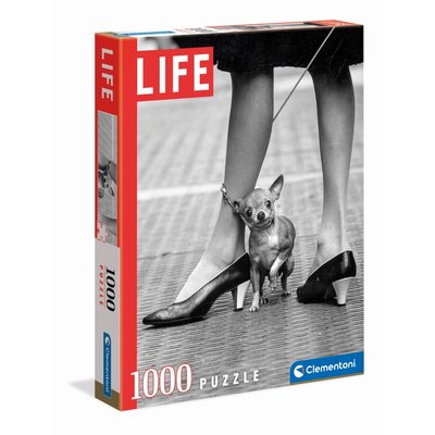 Life - 1000 pièces - chihuaua CLEMENTONI