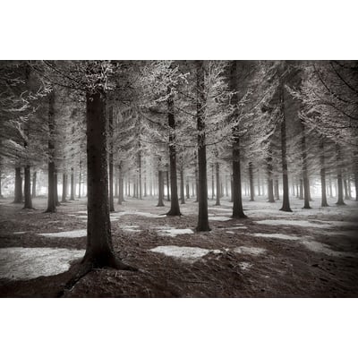 Tableau deco debut d'hiver HEXOA