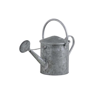 Arrosoir décoratif en zinc lourd 5 litres AUBRY GASPARD
