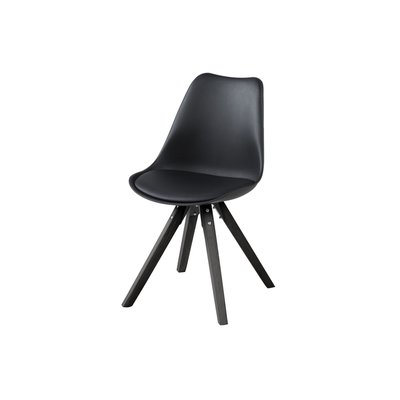 Chaises bois et résine coloris noir (lot de 2) - EARL HELLIN, DEPUIS 1862
