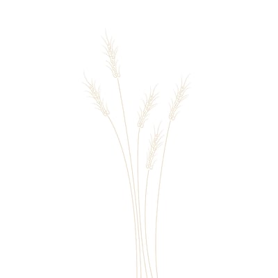 Tableau scandi blés HEXOA