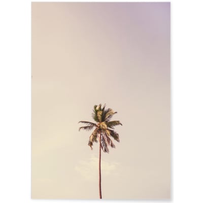 Poster nature Palm Trees 6 L'AFFICHERIE