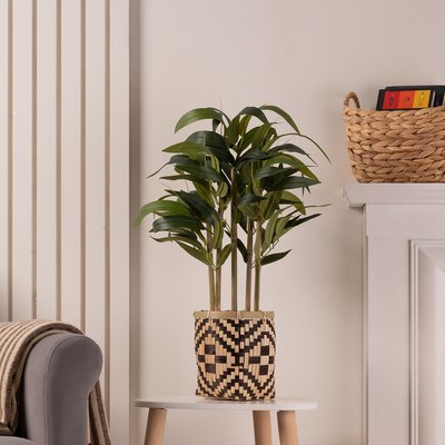 50cm Artificial Bamboo Plant in Black & Natural Woven Pot SO'HOME