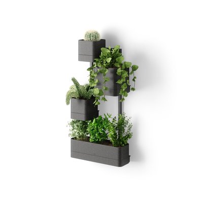 JardInière murale - CUBIKO UMBRA