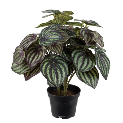 Peperomia fausse plante en pot lesté H30cmD25 ARTIFICIELLES