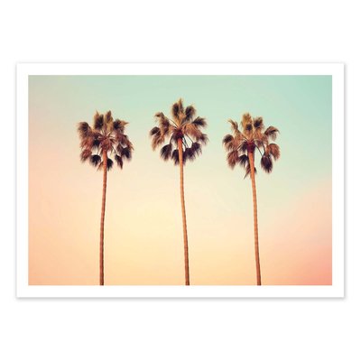 Affiche 50x70 cm - California Hollywood Palms - Philippe Hugonnard WALL EDITIONS