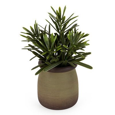 16.5cm Artificial Rosemary in Pot SO'HOME