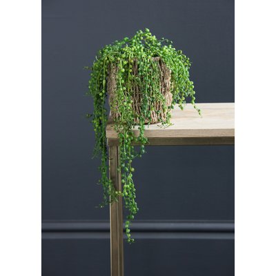 54cm Artificial Trailing Succulent Plant -  String of Pearls SO'HOME