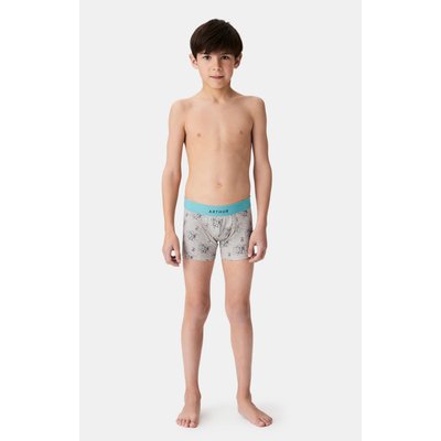 Boxer   en coton imprimé Tout schuss ARTHUR
