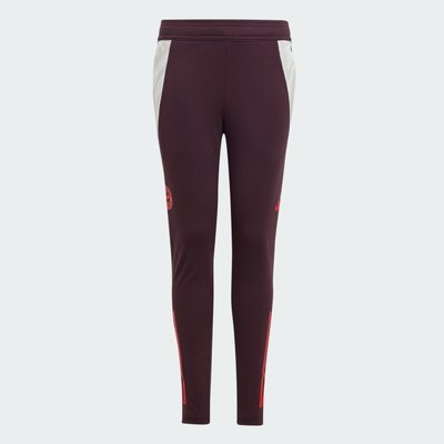 Pantalon d'entraînement FC Bayern Tiro 24 Enfants adidas Performance