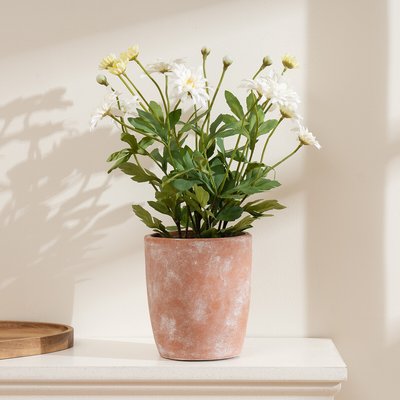 35cm Artificial White Daisy in Terracotta Pot SO'HOME