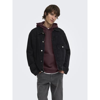Sweat à capuche Ceres Life ONLY & SONS