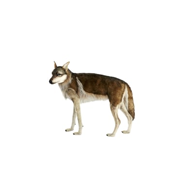 Hansa peluche geante  Loup 4 Pattes 105cmL HANSA