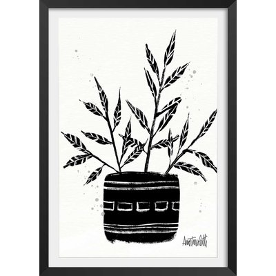 Illustration Botanique et Poterie terre cuite HEXOA