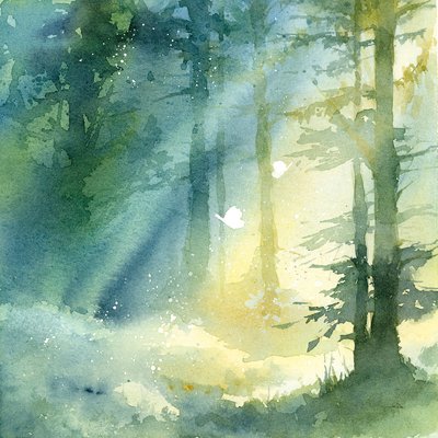 Cadre déco bosquet ombragé HEXOA