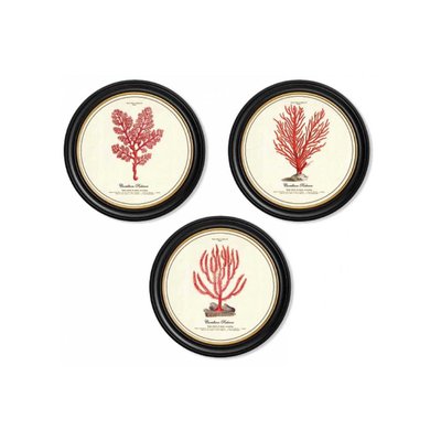 Assortiment de 3 cadres Corail JARDINDECO