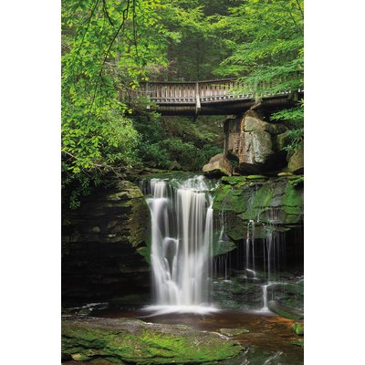 Tableau cascade chutes d'elakala ouest HEXOA