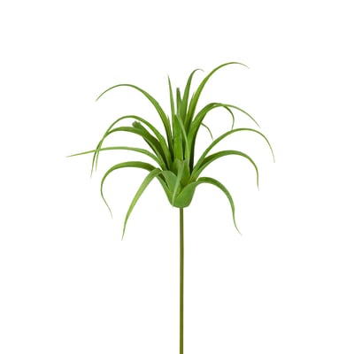 Tige de tillsandia artificielle H20 SIA
