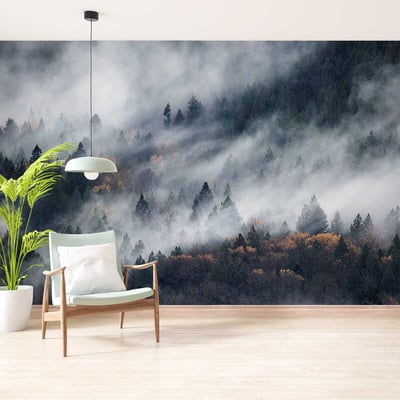 Papier peint un chemin du brouillard HEXOA