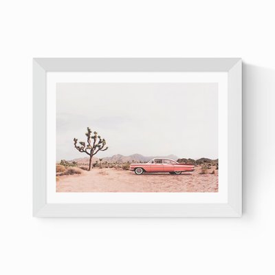 In the Desert by Sisi and Seb EAST END PRINTS