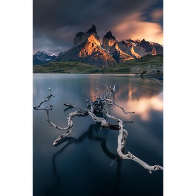 Tableau Mural Élément Naturel GRANDS ESPACES CEANOTHE