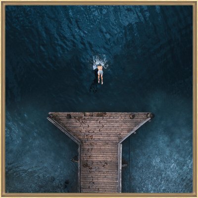 Tirage Encadré Sur Aluminium Plongeon TIRAGE D'ART CEANOTHE