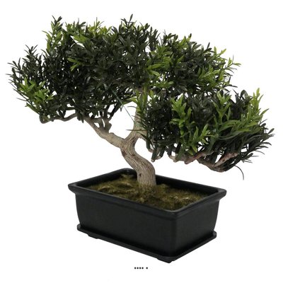 Bonsai artificiel Arbre a The H 23 cm ARTIFICIELLES