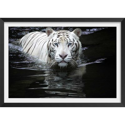 Affiche tigre Regarde moi... HEXOA