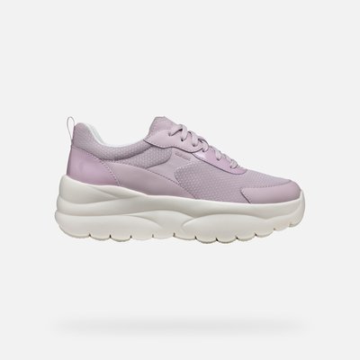 Baskets  D XTORS GEOX