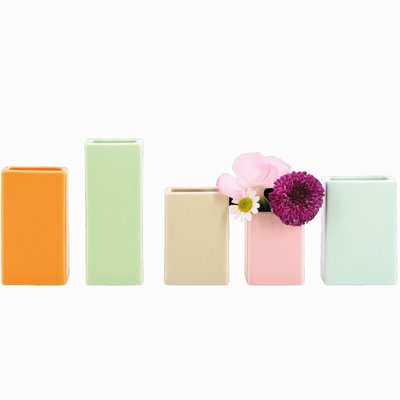 Lot de 5 mini vases REMEMBER