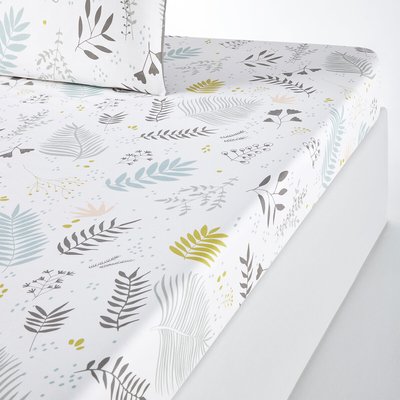 Drap housse percale de coton, Suzanne LA REDOUTE INTERIEURS
