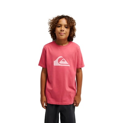 T-shirt manches courtes, imprimé devant QUIKSILVER
