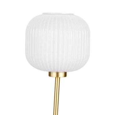 Ribbed Glass and Metal Squoval Floor Lamp SO'HOME