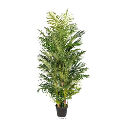 Palmier Areca artificiel H 220 cm 13 troncs ARTIFICIELLES