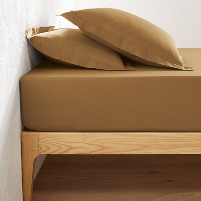 Drap housse en coton bonnet 25 cm, Scenario LA REDOUTE INTERIEURS