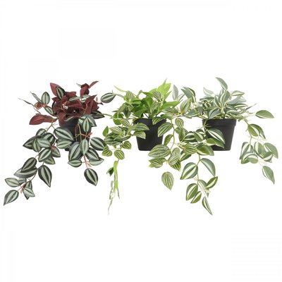 Plante verte artificielle tombante 50cm lot de 3 LIGNE DECO