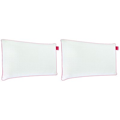 Oreiller Symbiose ressorts (lot de 2) EPEDA