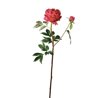 Tige de pivoine artificielle H85 SIA DECO