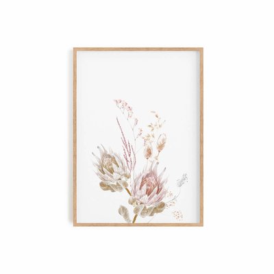 Protéa, affiche +  cadre chêne. 50cm x 70cm COTTON BIRD